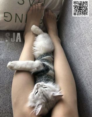 欧美姿乳液100m多少钱一瓶_剧情片迅雷电影在线