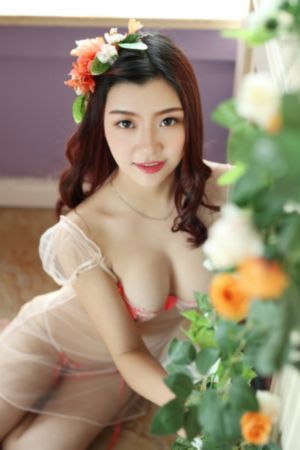 欧美动画电影大全集_剧情片在线观看高清